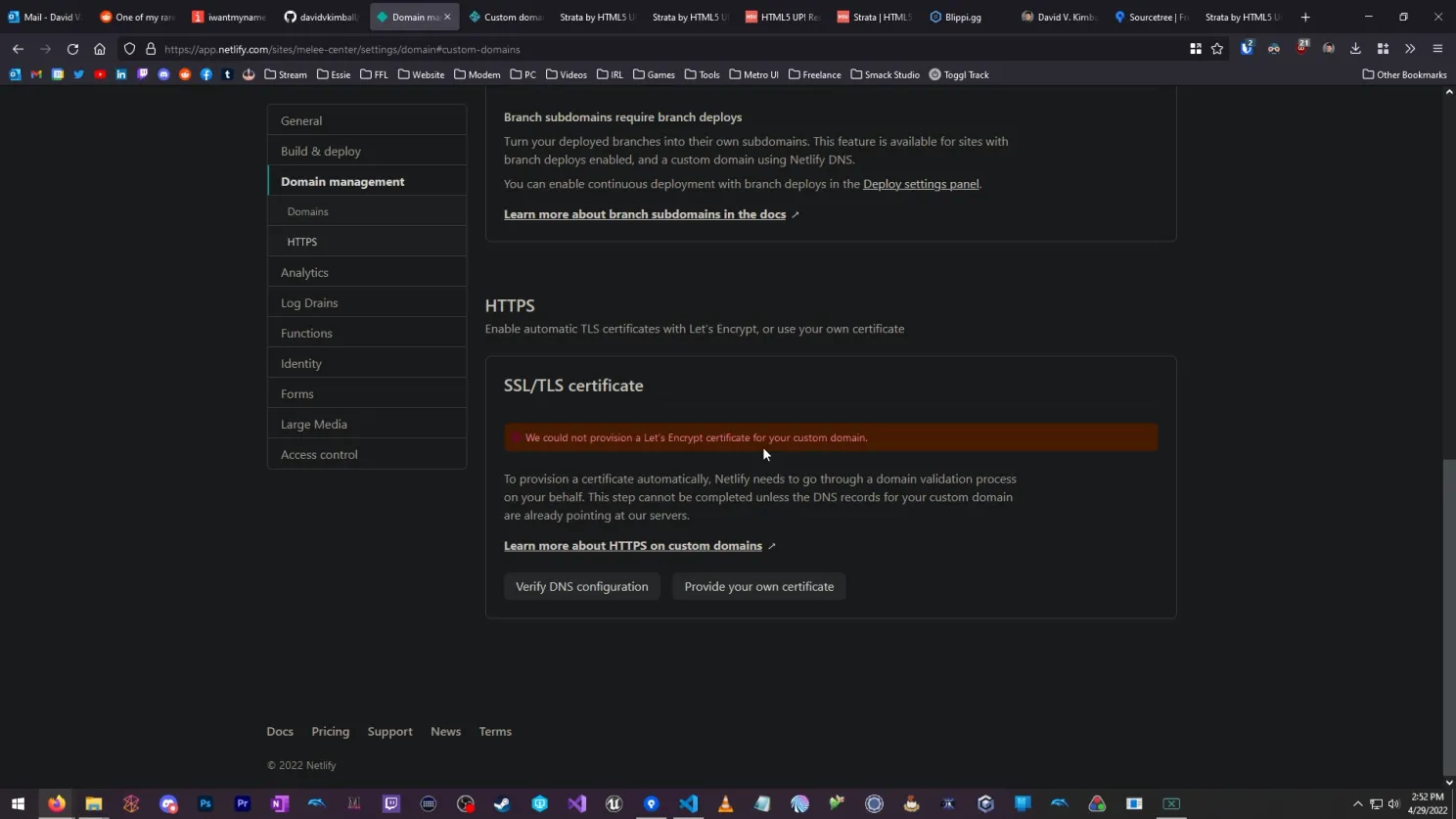 Netlify DNS settings screenshot.